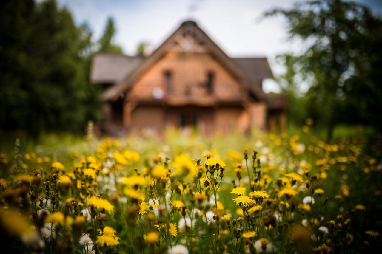 Brzozowy Gaj Bed & Breakfast Glowczyce Exterior photo